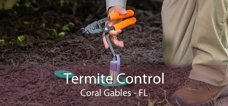 Termite Control Coral Gables - FL