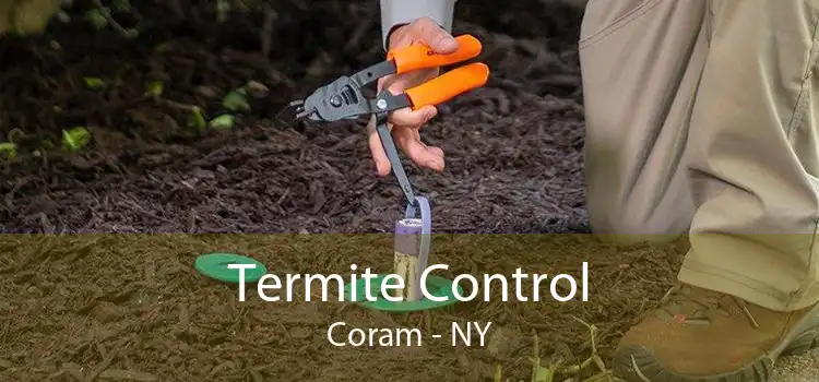 Termite Control Coram - NY