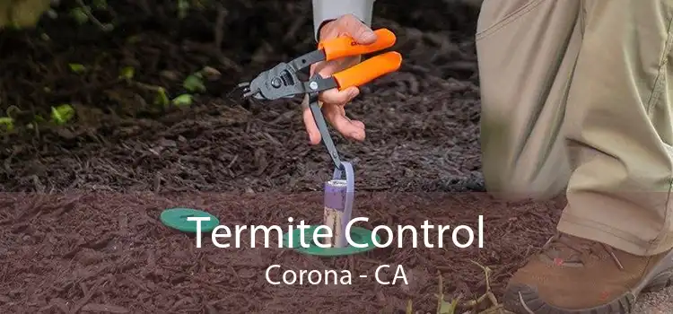 Termite Control Corona - CA