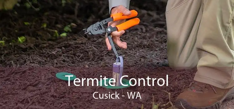 Termite Control Cusick - WA