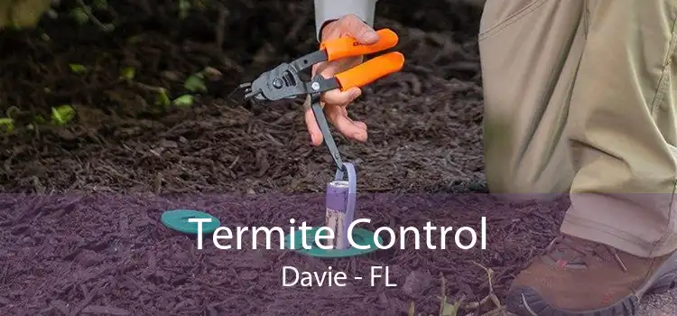 Termite Control Davie - FL