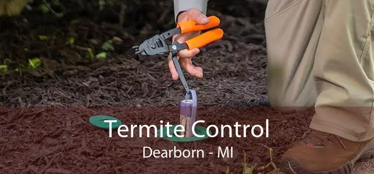 Termite Control Dearborn - MI