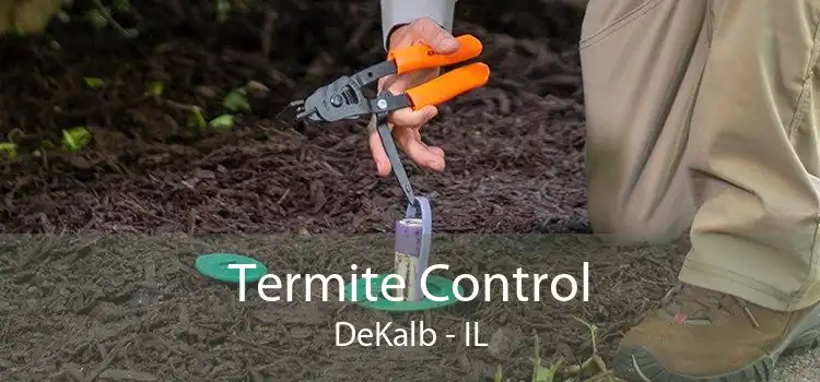 Termite Control DeKalb - IL
