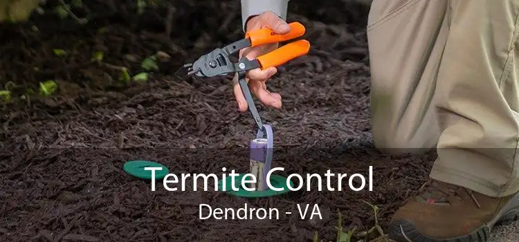 Termite Control Dendron - VA