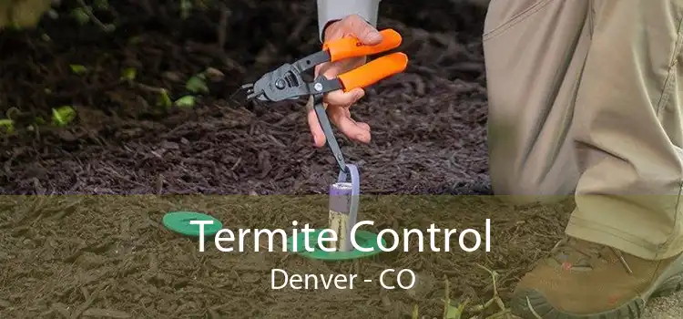 Termite Control Denver - CO