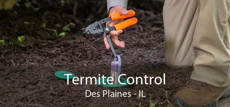 Termite Control Des Plaines - IL