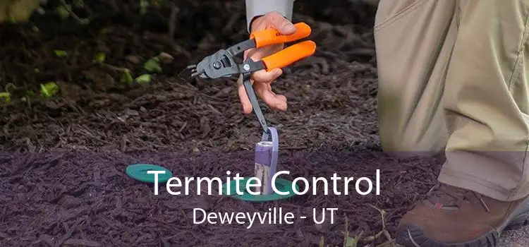 Termite Control Deweyville - UT