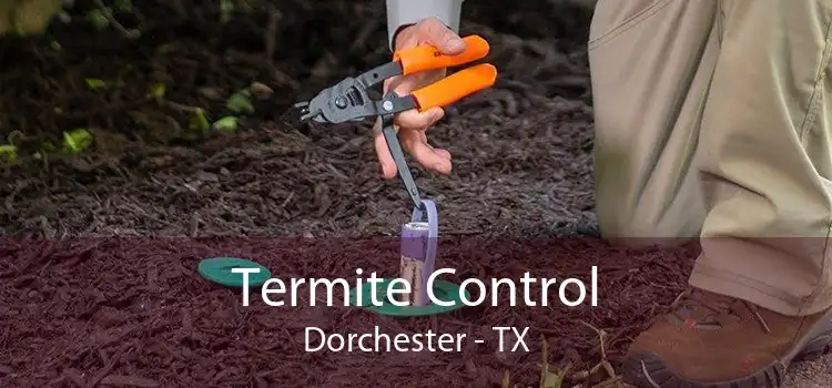 Termite Control Dorchester - TX