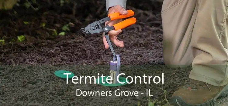 Termite Control Downers Grove - IL