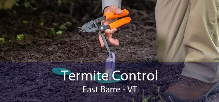Termite Control East Barre - VT