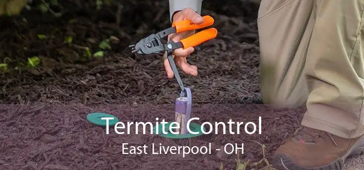 Termite Control East Liverpool - OH