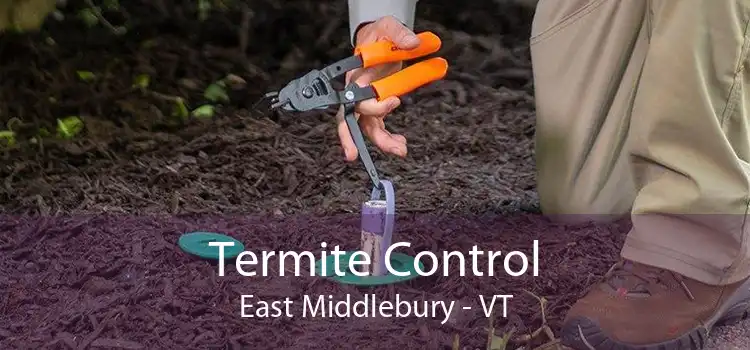 Termite Control East Middlebury - VT