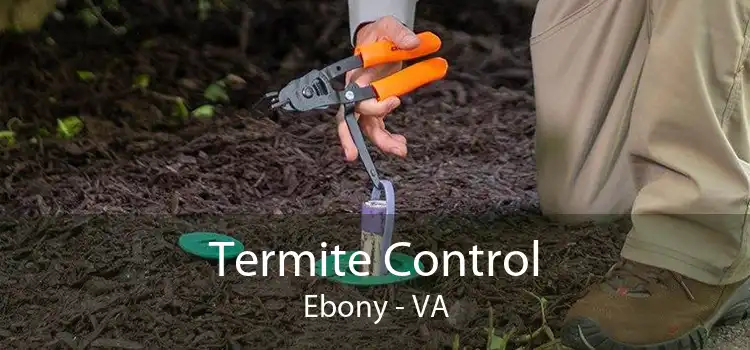 Termite Control Ebony - VA