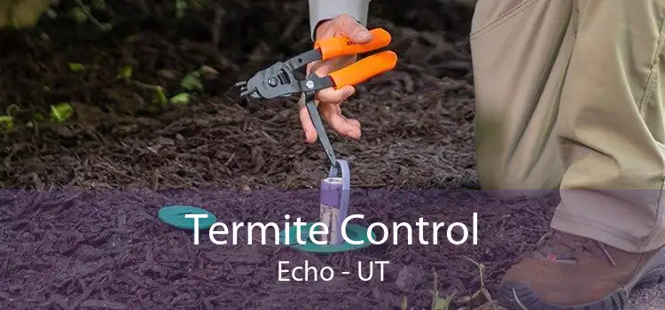 Termite Control Echo - UT