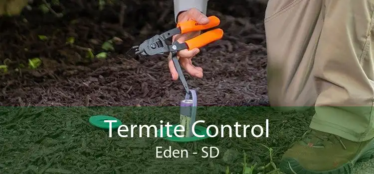Termite Control Eden - SD