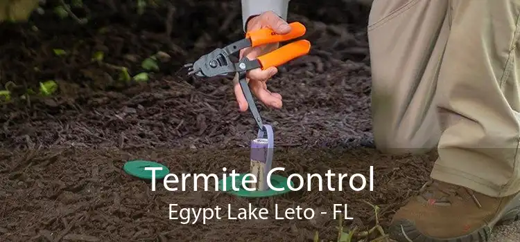 Termite Control Egypt Lake Leto - FL