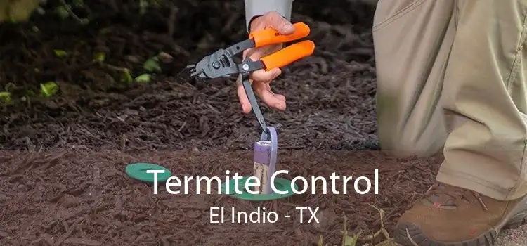 Termite Control El Indio - TX
