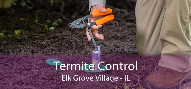 Termite Control Elk Grove Village - IL