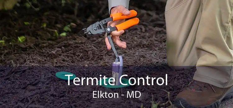 Termite Control Elkton - MD