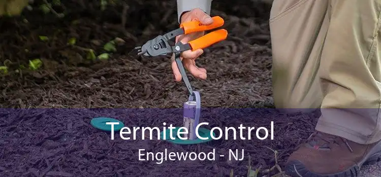 Termite Control Englewood - NJ