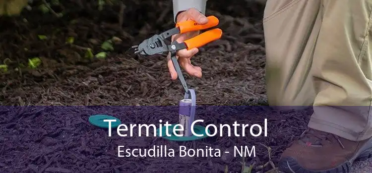 Termite Control Escudilla Bonita - NM