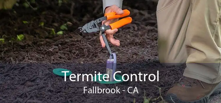 Termite Control Fallbrook - CA