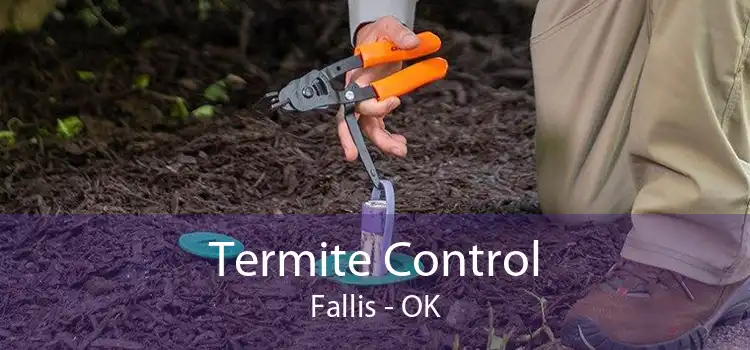 Termite Control Fallis - OK