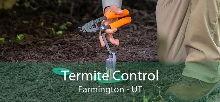 Termite Control Farmington - UT