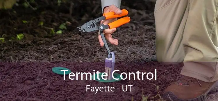 Termite Control Fayette - UT