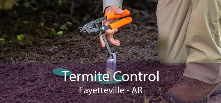 Termite Control Fayetteville - AR
