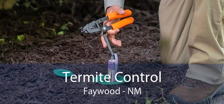 Termite Control Faywood - NM