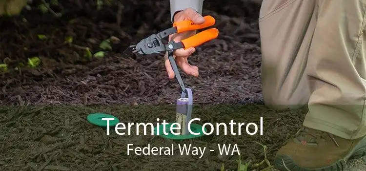 Termite Control Federal Way - WA