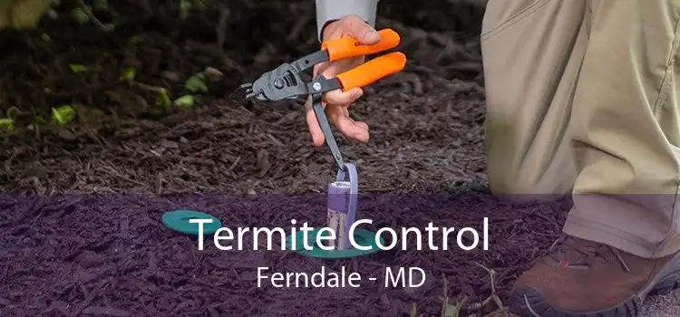 Termite Control Ferndale - MD
