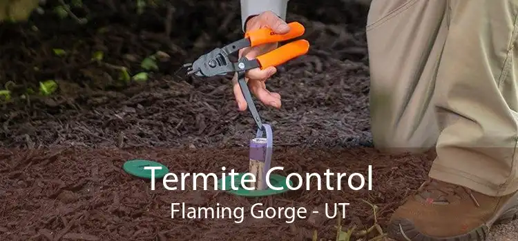 Termite Control Flaming Gorge - UT