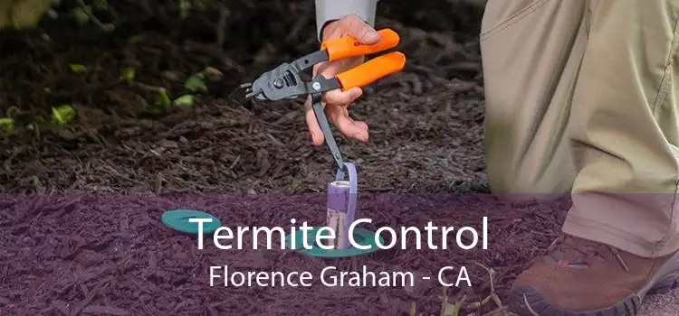 Termite Control Florence Graham - CA