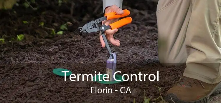 Termite Control Florin - CA