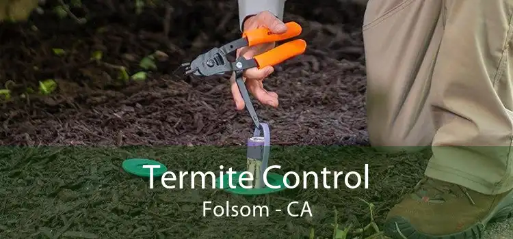 Termite Control Folsom - CA