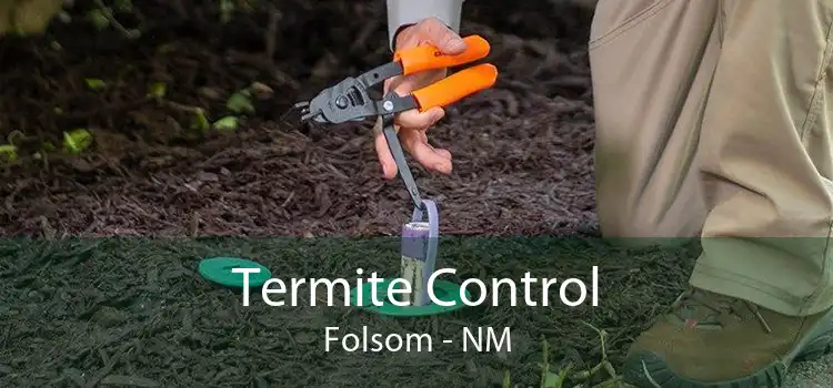 Termite Control Folsom - NM