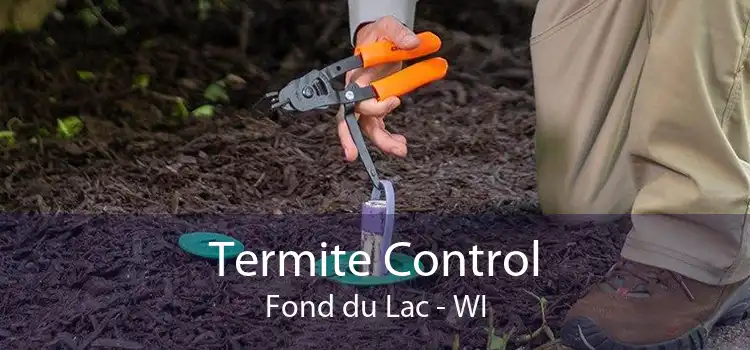 Termite Control Fond du Lac - WI