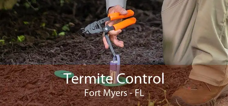 Termite Control Fort Myers - FL