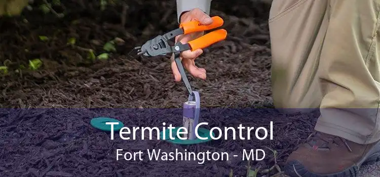 Termite Control Fort Washington - MD