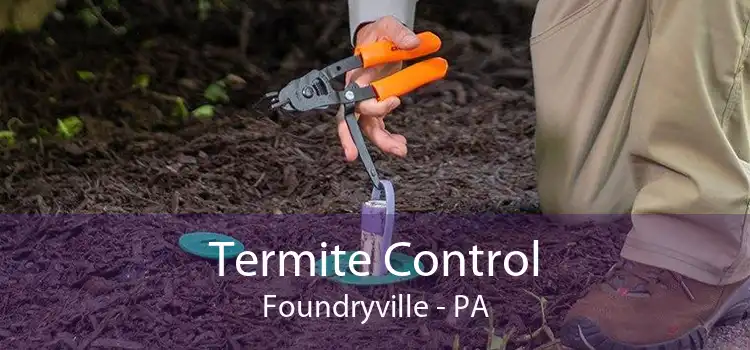 Termite Control Foundryville - PA