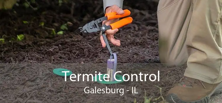 Termite Control Galesburg - IL
