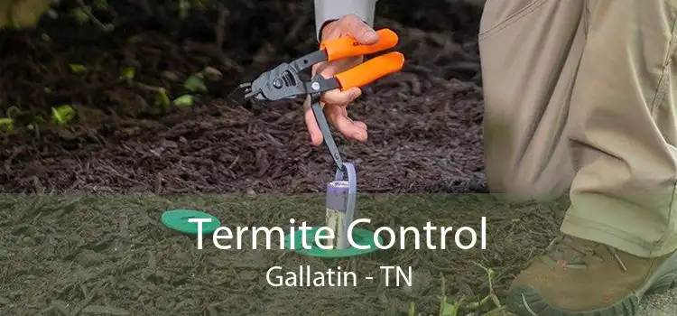 Termite Control Gallatin - TN