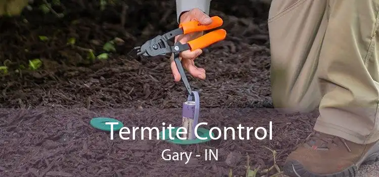 Termite Control Gary - IN