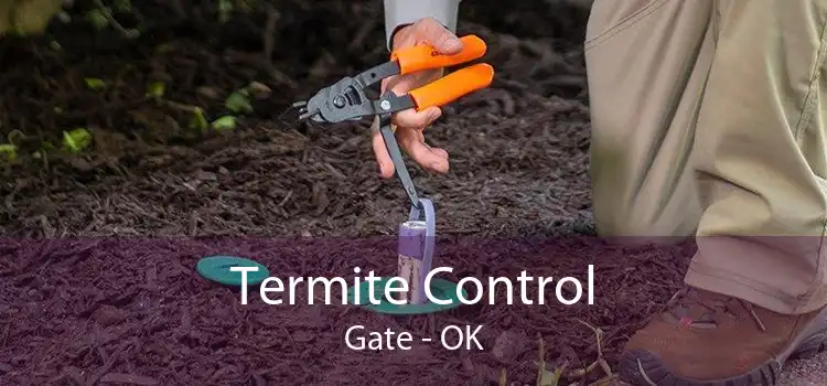 Termite Control Gate - OK
