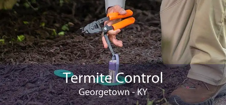 Termite Control Georgetown - KY