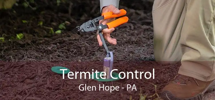 Termite Control Glen Hope - PA