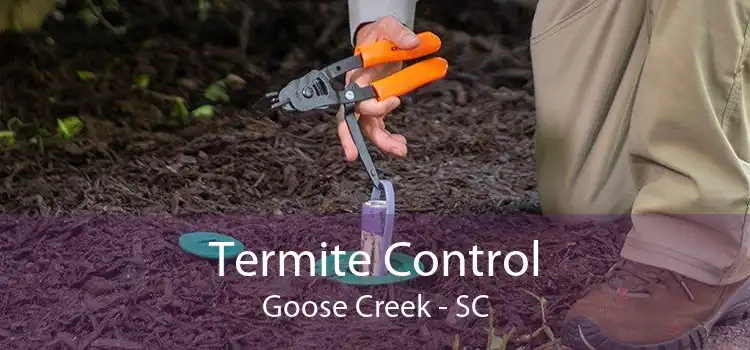 Termite Control Goose Creek - SC