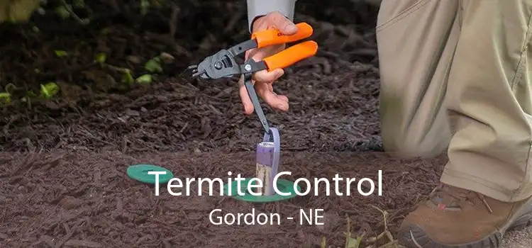 Termite Control Gordon - NE